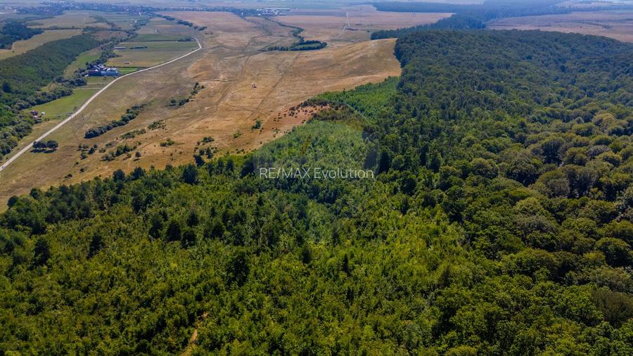 Teren 6,000mp Crizbav / Strada principala - 5