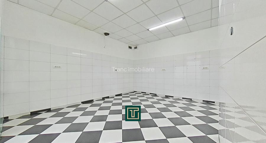 Apartament de vanzare la parter cu două intrări, Andrei Șaguna - Arad - 5