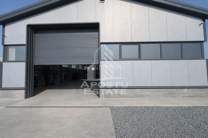 Hala de închiriat – Sacalaz,  curte generoasă, show-room, service auto - 4