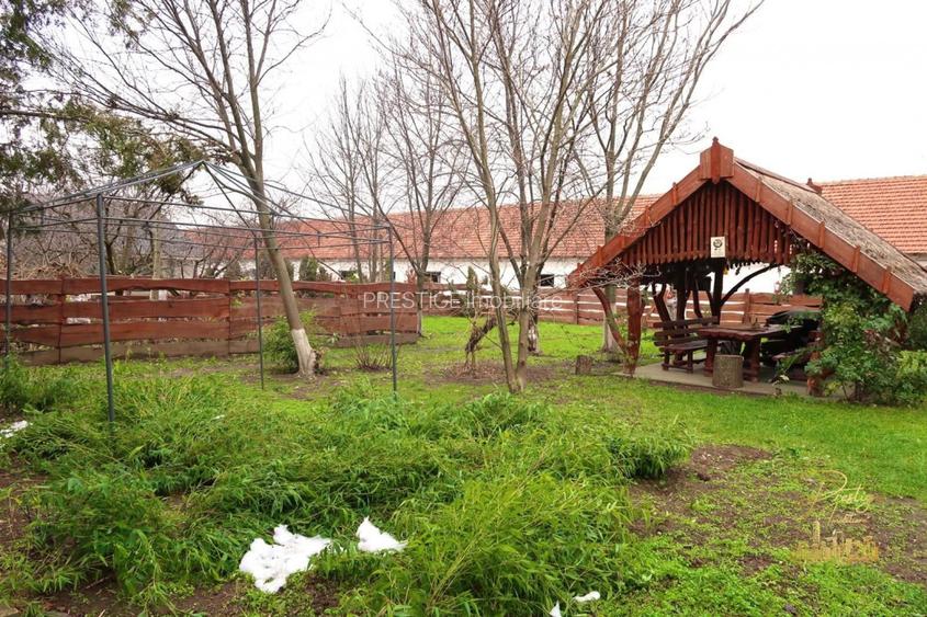 Domeniu - Centru de colectare, 7 ha de vanzare in Valea lui Mihai - 19