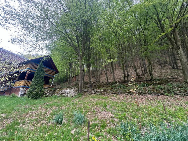 Cabana 5 camere, 75 mp| teren 900 mp| zona Iezer Ighiel - 10