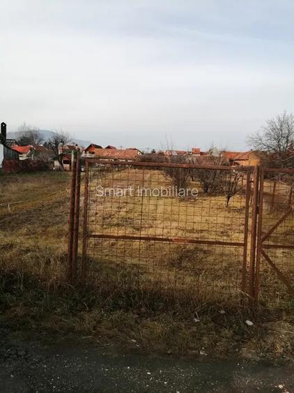 Teren 934 mp Ghimbav - 2