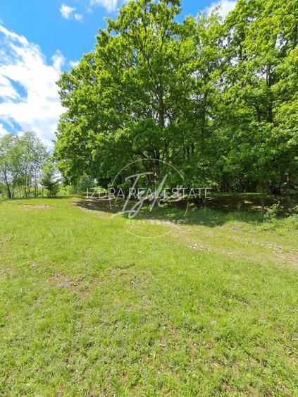 Parcelele cu cele mai bune preturi din judet - 8