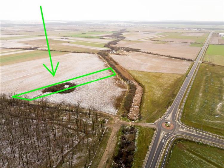 RECO Teren extravilan Nojorid langa Inelul Metropolitan - 2