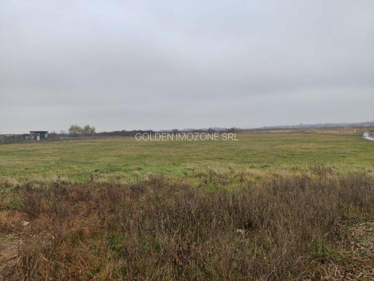 Teren 4588 mp, Remetea Mare Comision 0% - 4