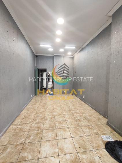 Spatiude inchiriat 24Mp Calea Mosilor 205 - 2