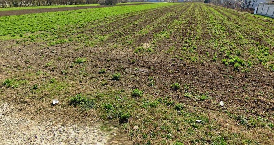 Teren cu utilitati in Magurele,Ilfov,Str.Capricornului - 3