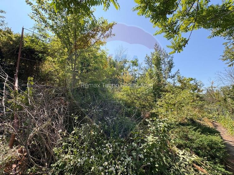 Teren intravilan 589 mp si cabana din caramida in Cuvin - 5