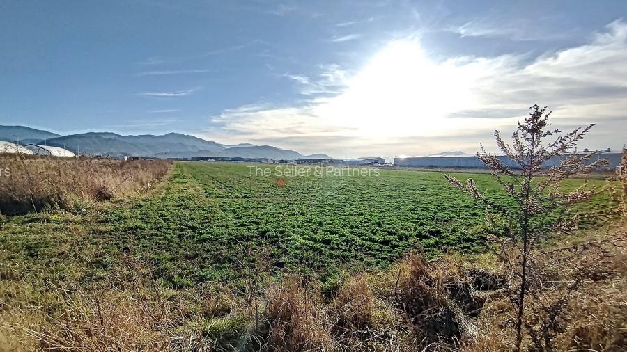 Teren Industrial - 6