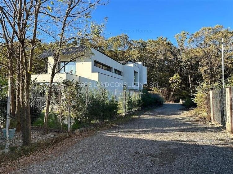 Teren intravilan 1170 mp Corbeanca Padurea Tamasi - 4