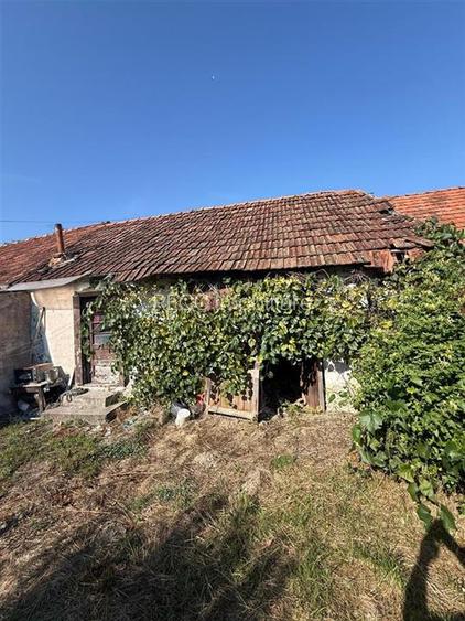 RECO . Casa in Saliste de Vascau . - 4