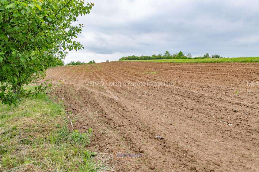 Casă din chirpici, bucătărie de vară și 1.34 ha de teren, Ardeoani - 20