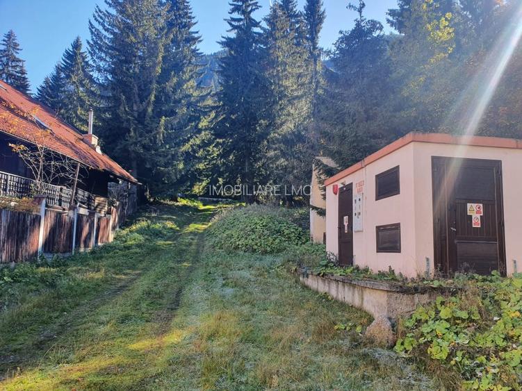 Teren Construcții intravilan de 2000 mp, în Poiana Brașov - 4