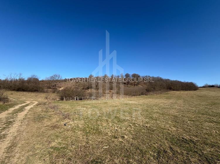 Teren EXTRAVILAN de vânzare în Săcel - 3