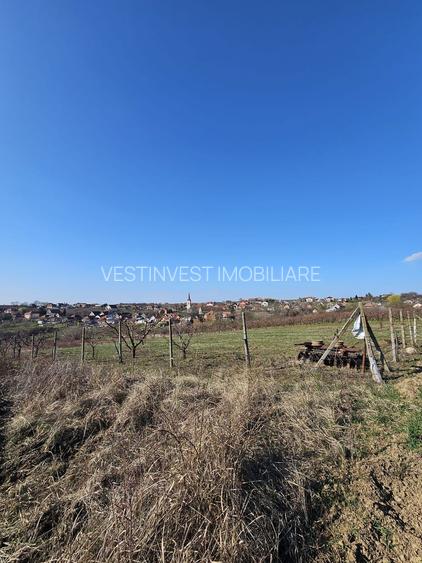 Teren intravilan Saldabagiu de Munte 850 mp - 2