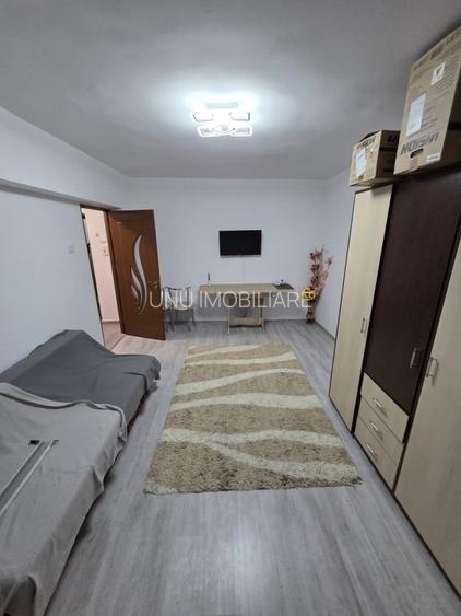 Apartament 1 camera zona Dacia - Lidl - 10