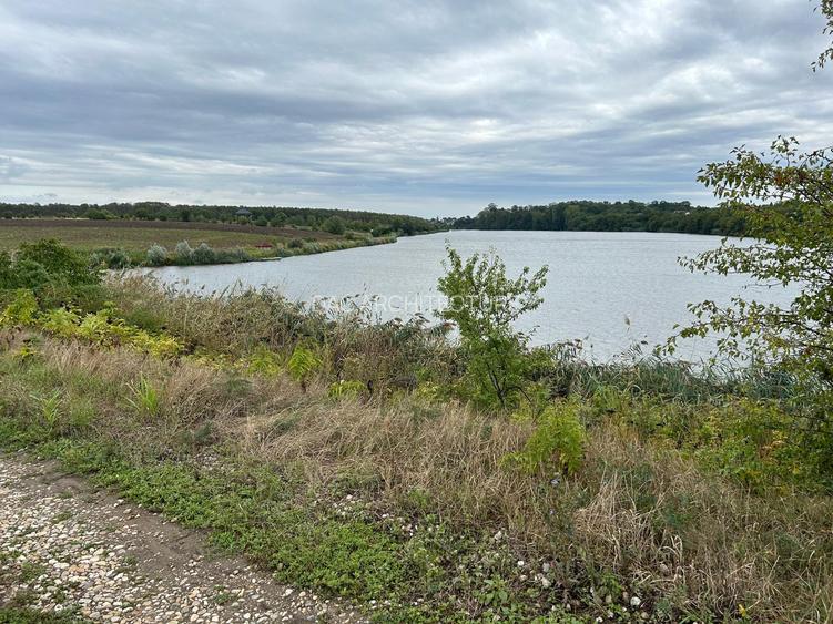 MOARA VLASIEI TEREN INTRAVILAN LA LAC SI PADURE - 2
