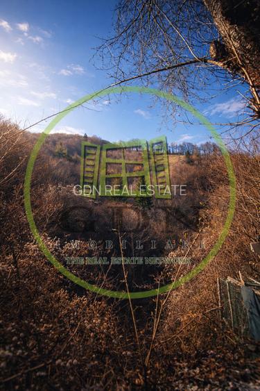 Pădure de vânzare în Scheii Brașovului 2 hectare de natură Brașov Schei - 4