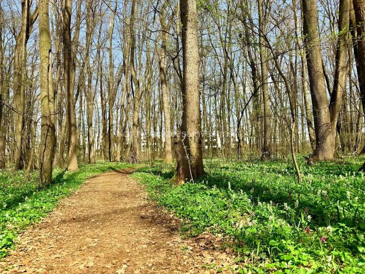 APARTAMENT 2 CAMERE + 2 LOCURI DE PARCARE - BANEASA - COMISION 0% - 8