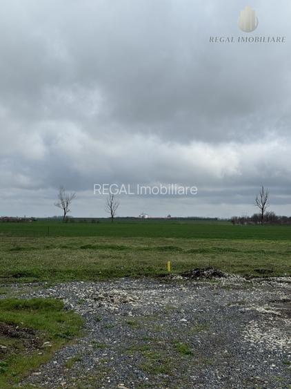 Teren Frumusani Gaz- Curent 400 mp |  D.N. 4 - 10