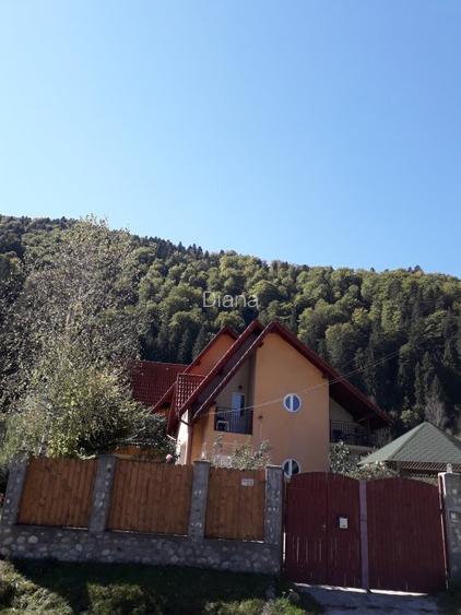 Voineasa, Valcea, vila 13 camere, altitudine 700 m - 3