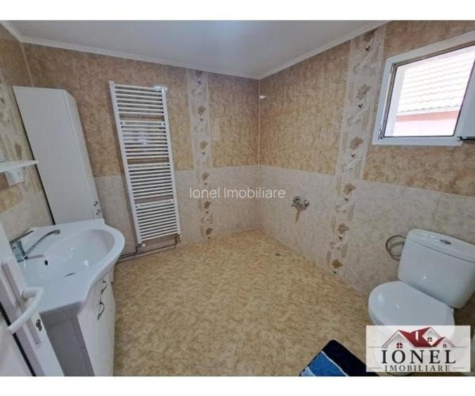 Casa noua cu 5.624 mp teren de vanzare in Vintu de Jos - Valea Vintului - 8