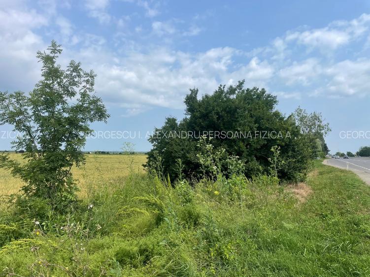 Saftica DN 7200 M - 2