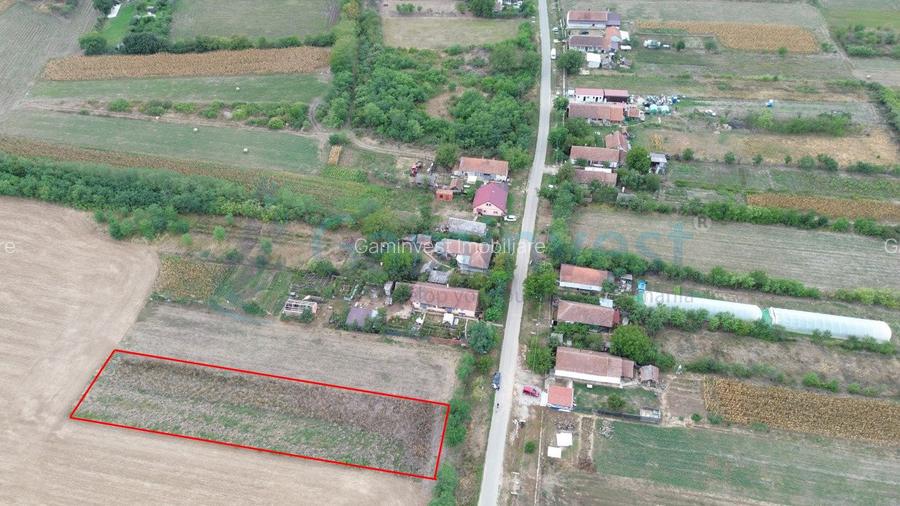 Teren intravilan de vanzare, Bihor - 2