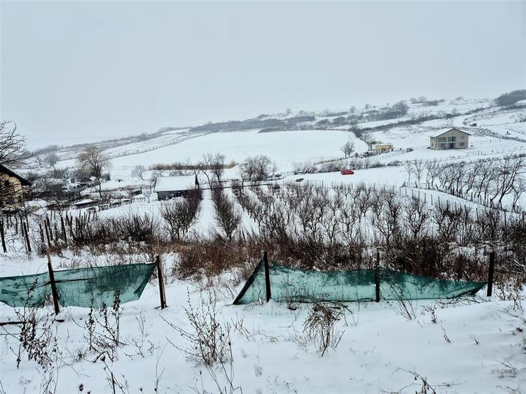 Casa individuala cu verere frumoasa - 10