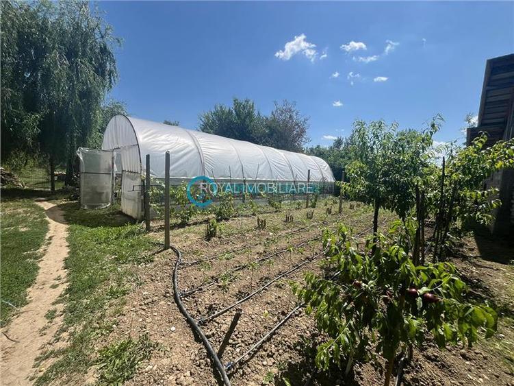 Royal Imobiliare-Vanzare Vila Zona Romanesti - 24