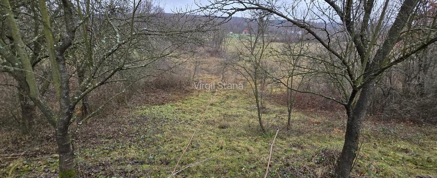 Casa si teren de vanzare Poienari - Bumbesti Pitic - 6
