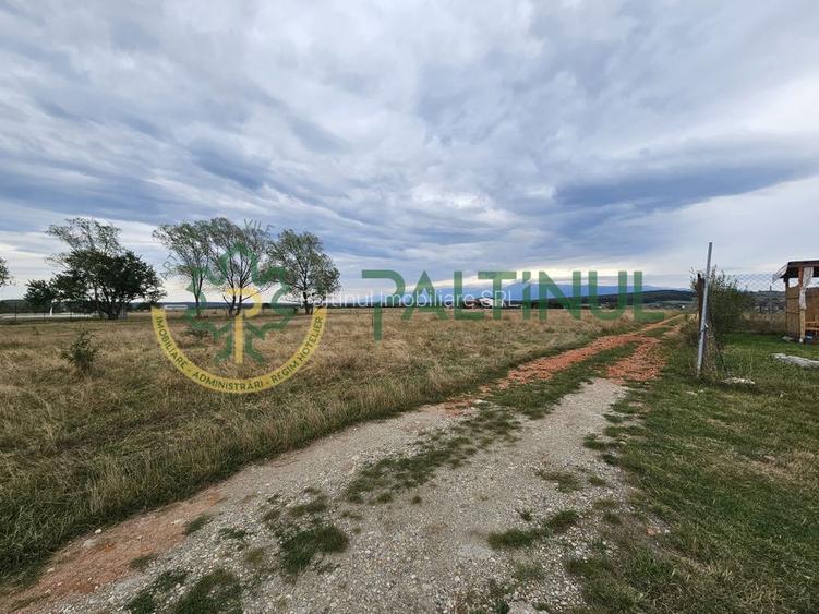 Parcele de vânzare pe Calea Cisnadiei, Sibiu - priveliste spre munti - 2