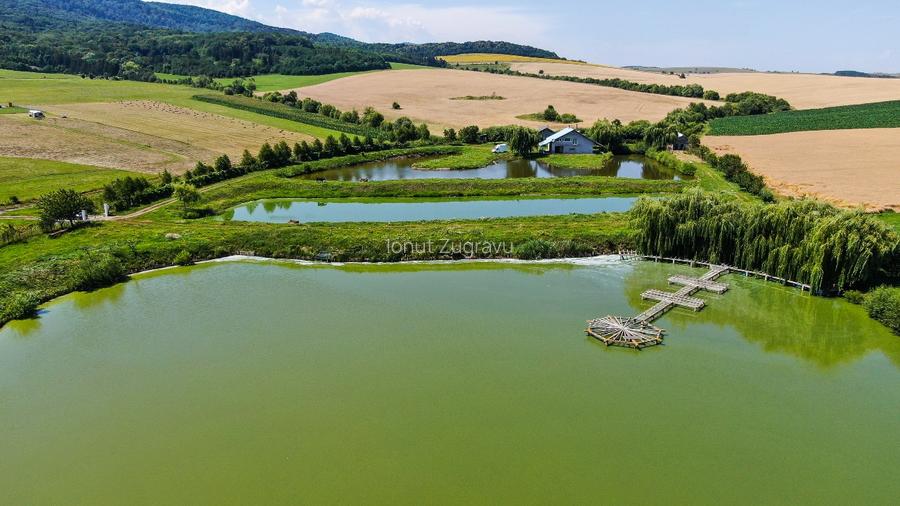 Proprietate spectaculoasă de 31.500 mp, cu iazuri și case locuibile - 3