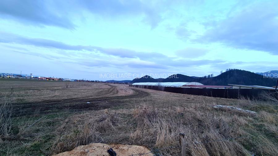 TEREN 1049 mp - INTRAVILAN DE CONSTRUCTII - 14