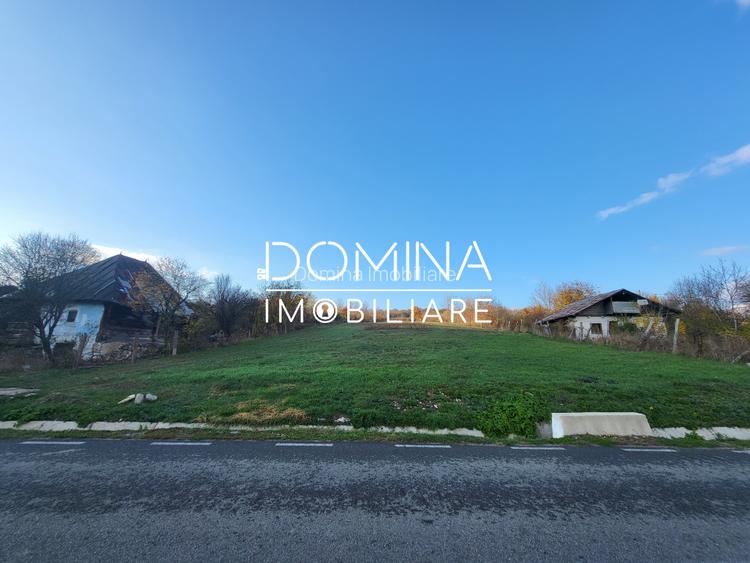 Teren 11.939 mp Balanesti – ideal rezidential/comercial - 7