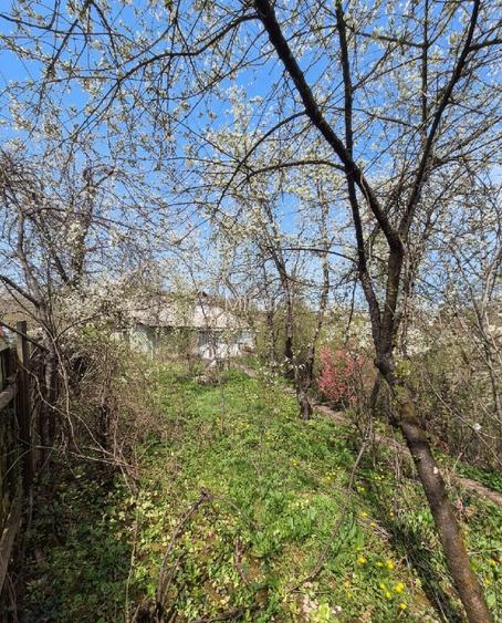 casa teliuc vedere la lac - 2