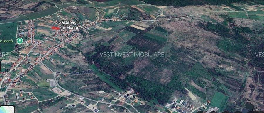 Teren intravilan Saldabagiu de Munte 1100m - 3