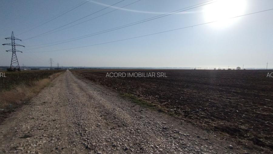 Teren pentru Parc Logistic, hale - Ovidiu - 8