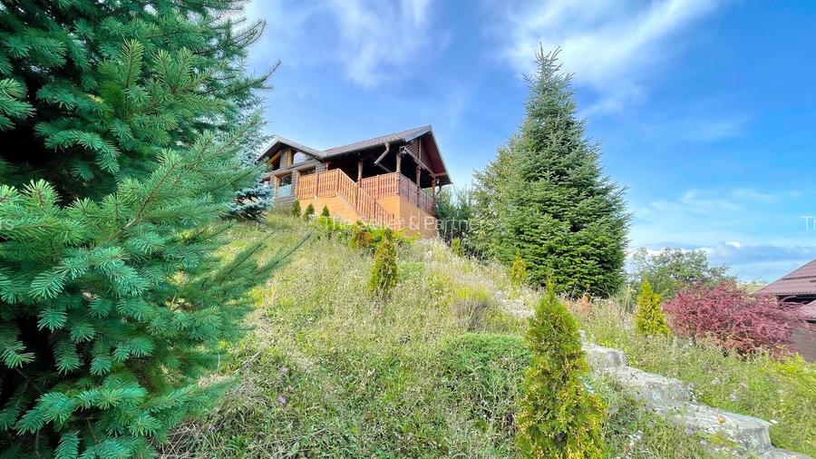 Complex de 3 case pe 18000 mp teren - 55