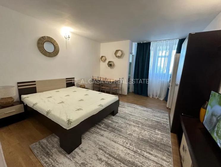 Apartament cu 1 camera in Podul De Piatra - 2