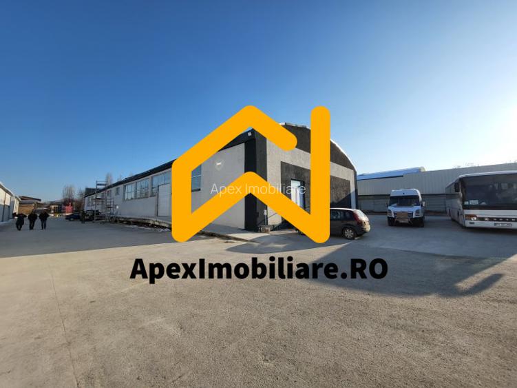 Hala Industriala Xenia – 1800 mp, Acces TIR, Parcare 50 Auto - 4