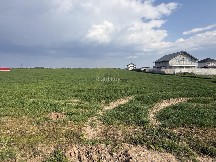 Teren Intravilan Dragomiresti Vale, Loturi sau Integral, Comision 0% - 2