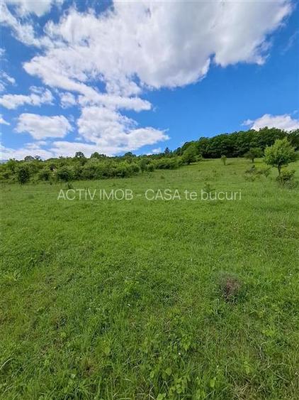 teren 550 mp de vanzare in Tocile - 6