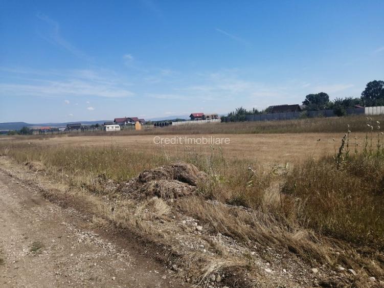 Teren de vanzare Harman. - 3