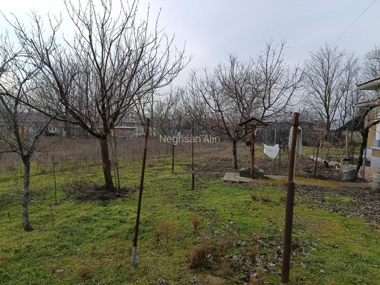 Casă + Teren 4625 mp – Cataloi (10 min de Tulcea) - 4