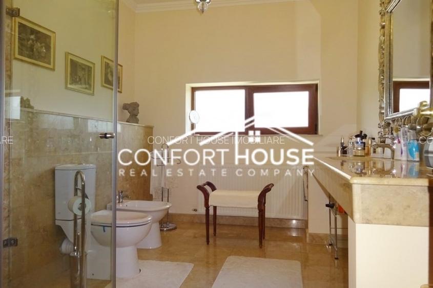 VILA SUPERBA IN IANCU NICOLAE - 21