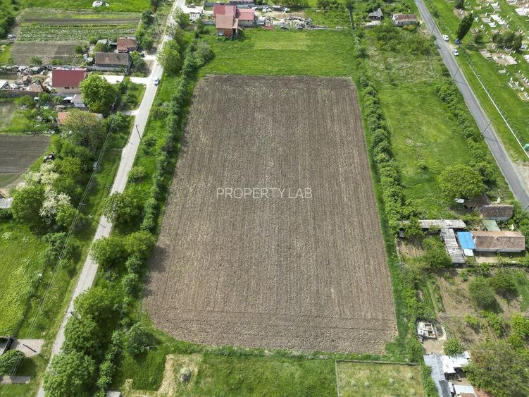 Teren Intravilan de 3,090 mp în Cuvin - 14