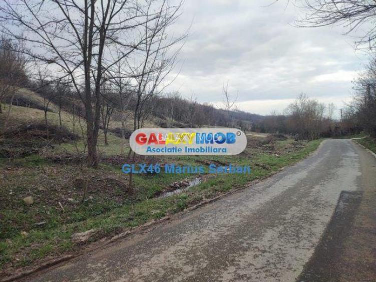 Vanzare teren intravilan, Razvad - 14