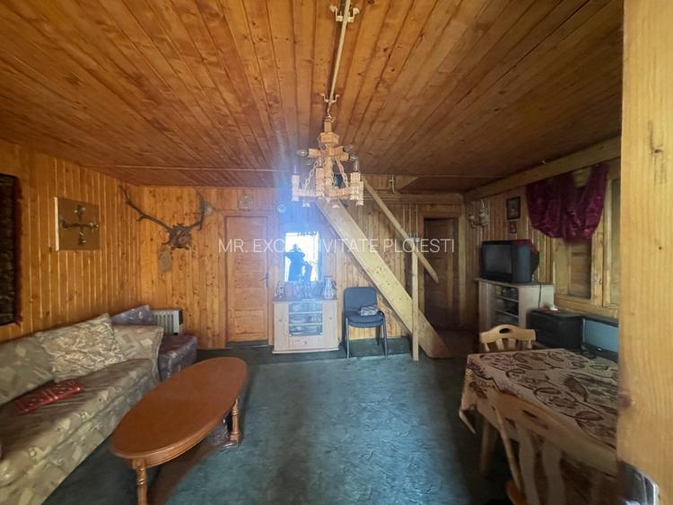 Casa de lemn 110 mp in Cornu de Jos  - 2