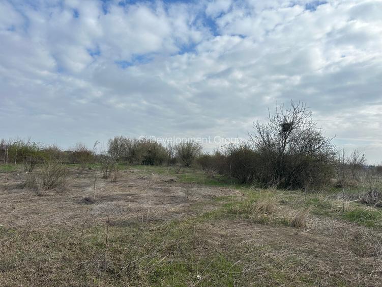 Teren 918 mp Corbeanca Tamasi | Intravilan POT 27% | P+2E+M | Ideal investitie - 3